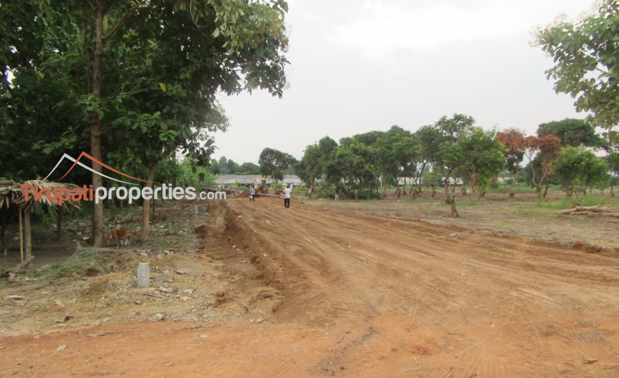 Low Budget Plots and Below 45 Lacs Houses for Sale Near Chandragiri Fort Junction